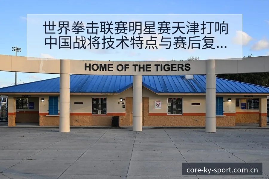 世界拳击联赛明星赛天津打响中国战将技术特点与赛后复盘分析 - 开云